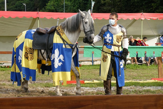 比赛可以这 比赛可以这