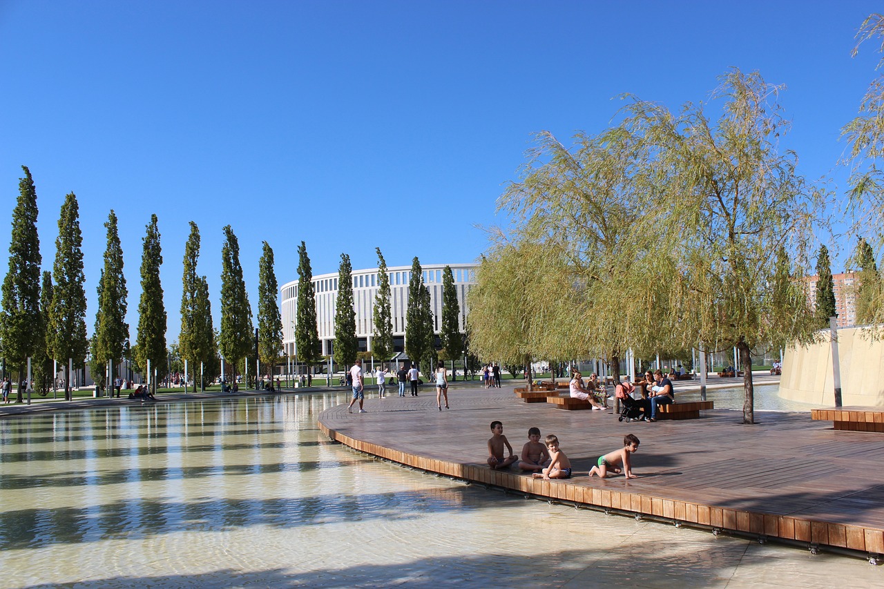 在这个过程 在这个过程