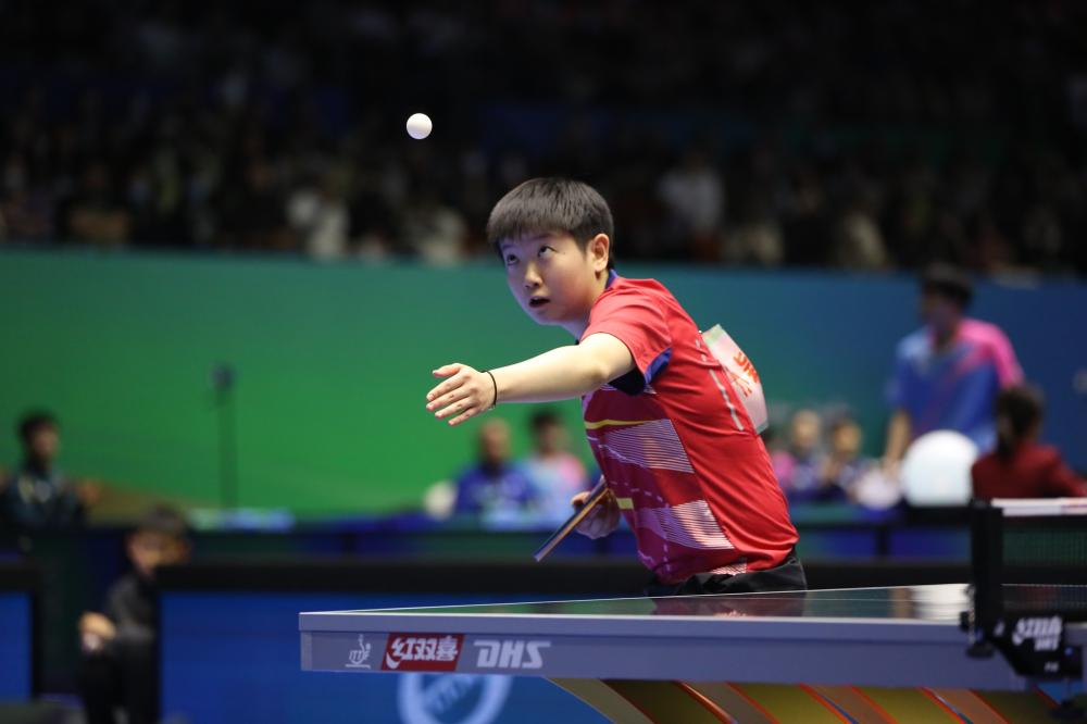 创意拼搭的 创意拼搭的