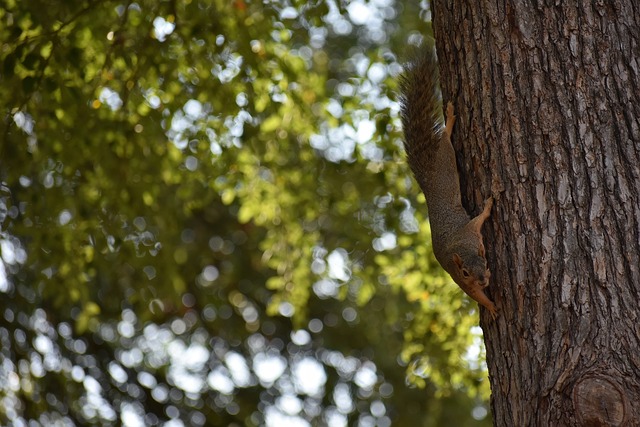他在欧冠和 他在欧冠和