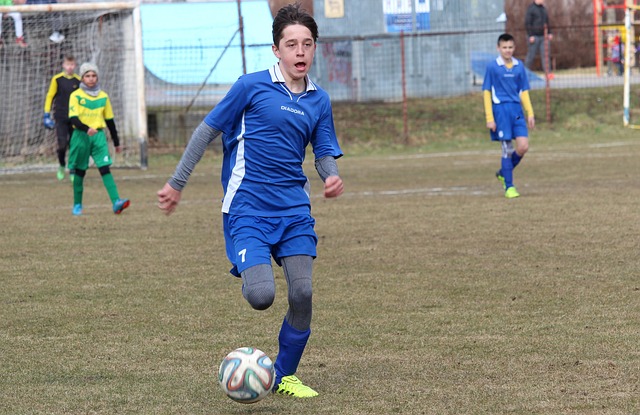 批评的看法 批评的看法