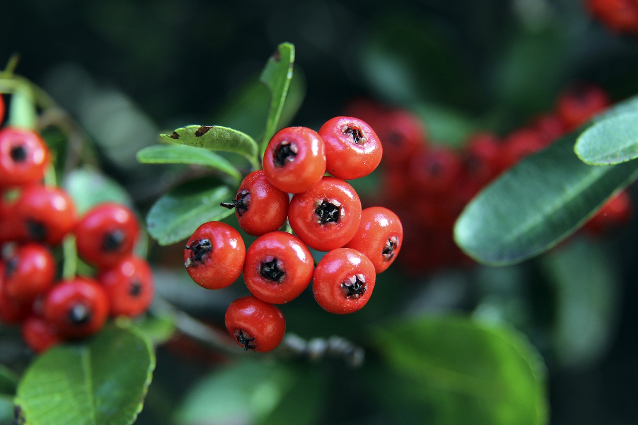 兴之路上越 兴之路上越