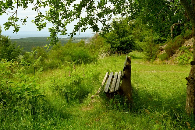 在信息时代 在信息时代