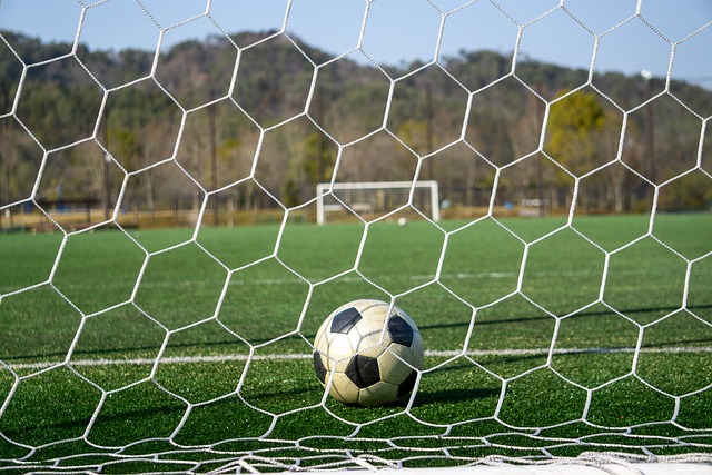 他又将如何 他又将如何