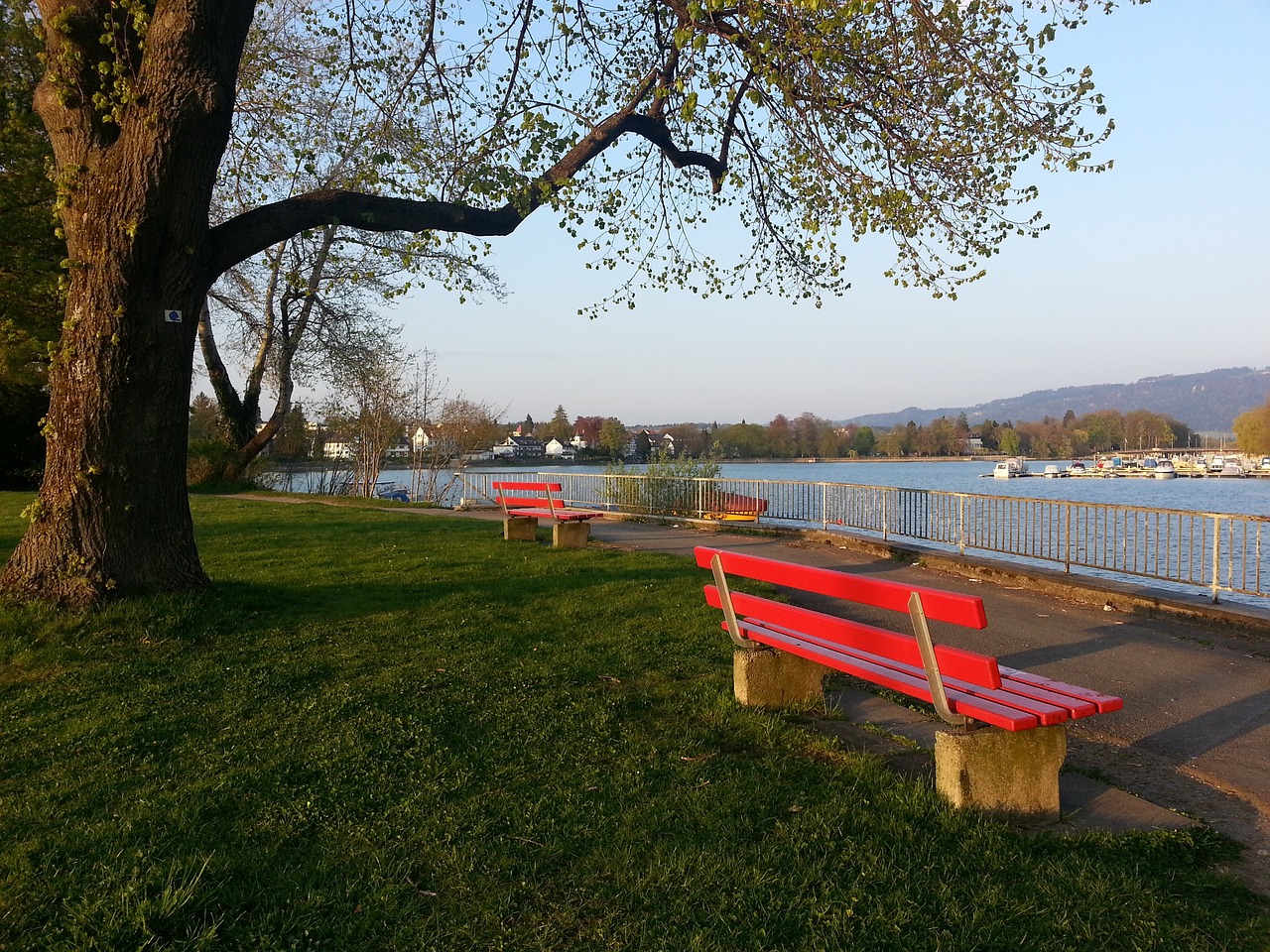 更是在众多 更是在众多