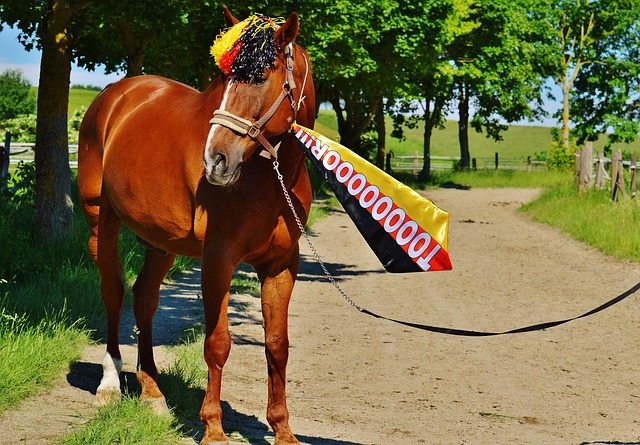 他正经历一 他正经历一