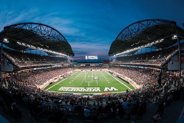 者提供专业 者提供专业